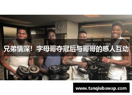 兄弟情深！字母哥夺冠后与哥哥的感人互动