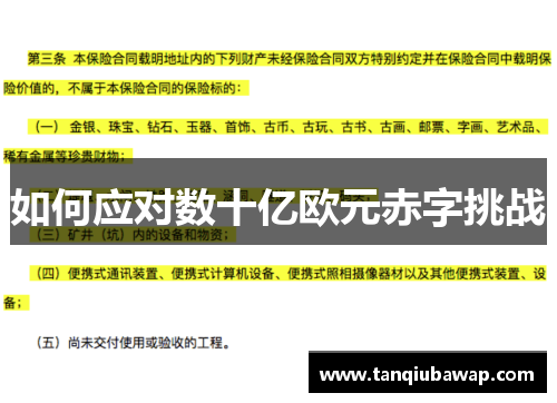 如何应对数十亿欧元赤字挑战
